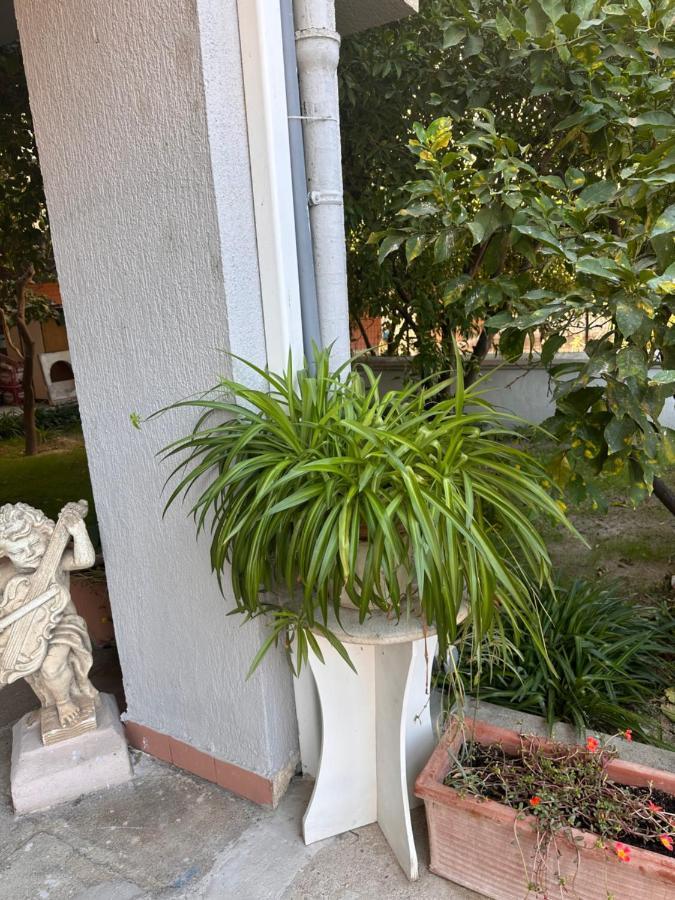 Bed & Breakfast Ajoaolbia